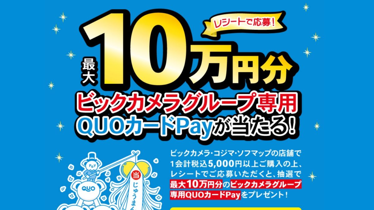 ビックカメラグループで「AEON Pay」と「QUOカードPay」に対応、記念キャンペーンも開催中！